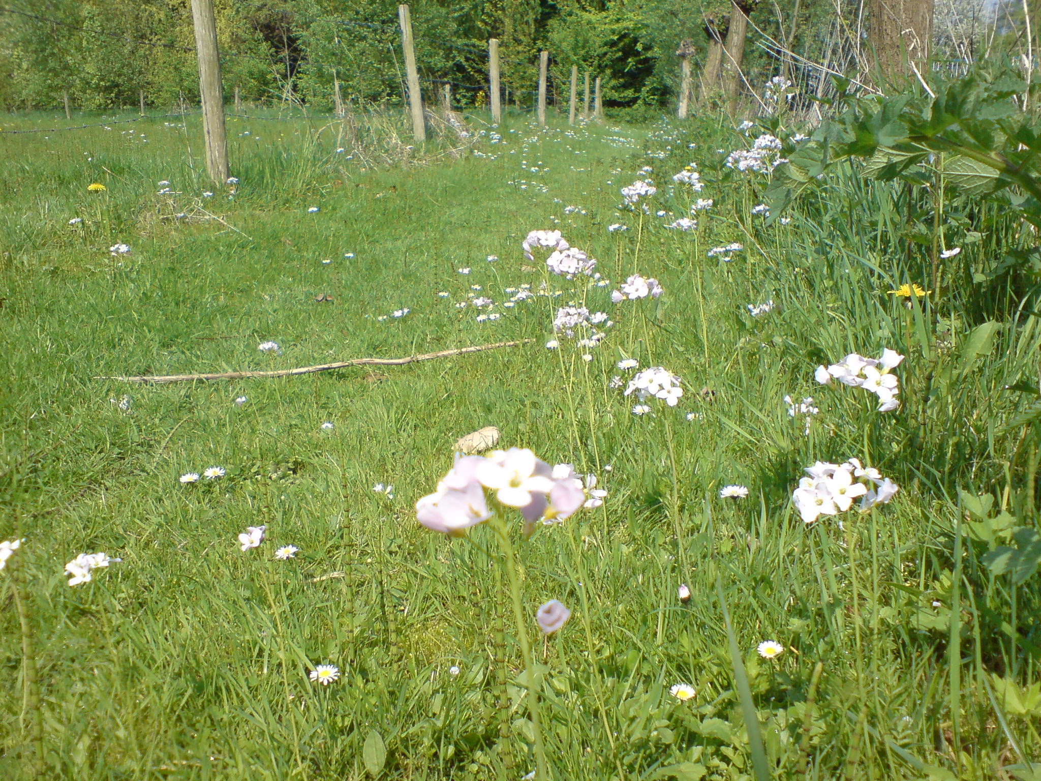 Atelierbezoek (op afspraak) combineren met Betuwse natuur