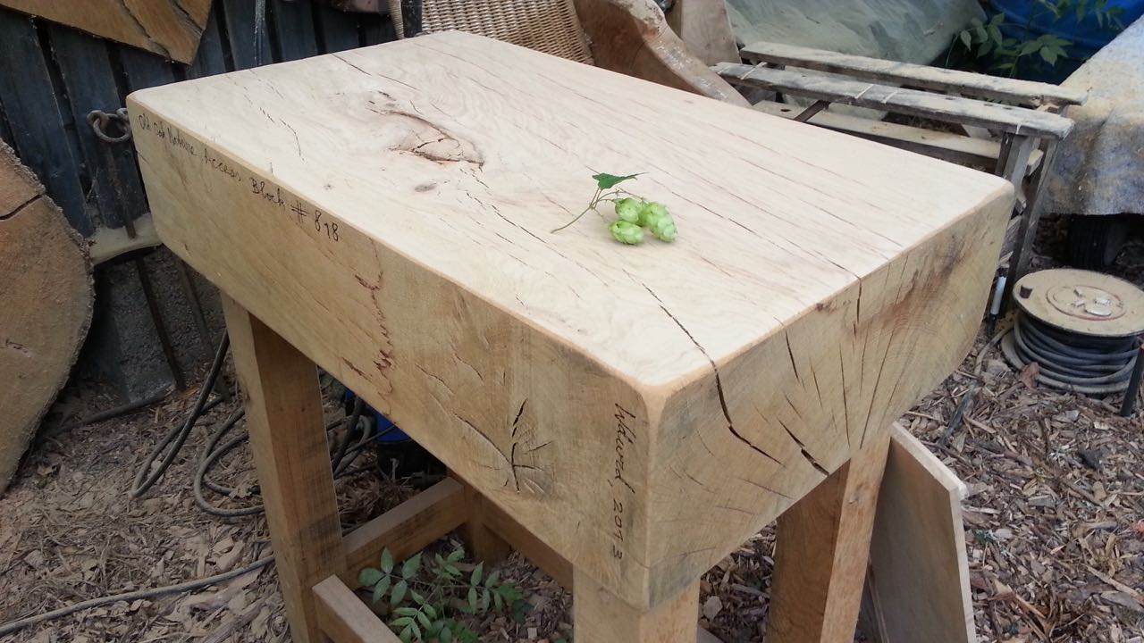 Slow Exploding Old Oak of Zoelen – 300 jaar oud –