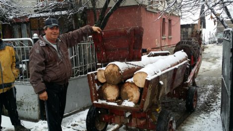 Rezhana Bor – Slow Exploding Tree – Bulgaria