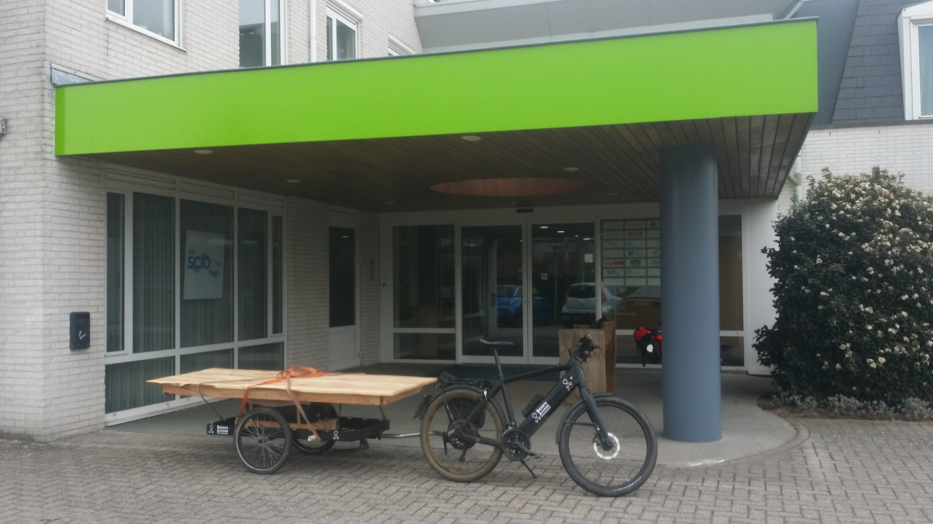 Boombom: Utrechtse Brandstraat Taxus