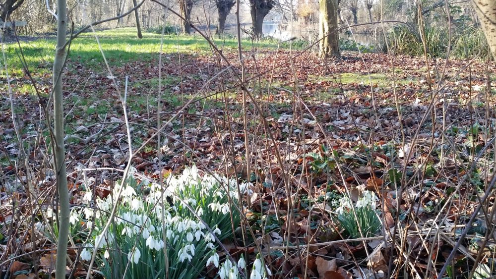 Natuurwerkdag Thedinghsweert