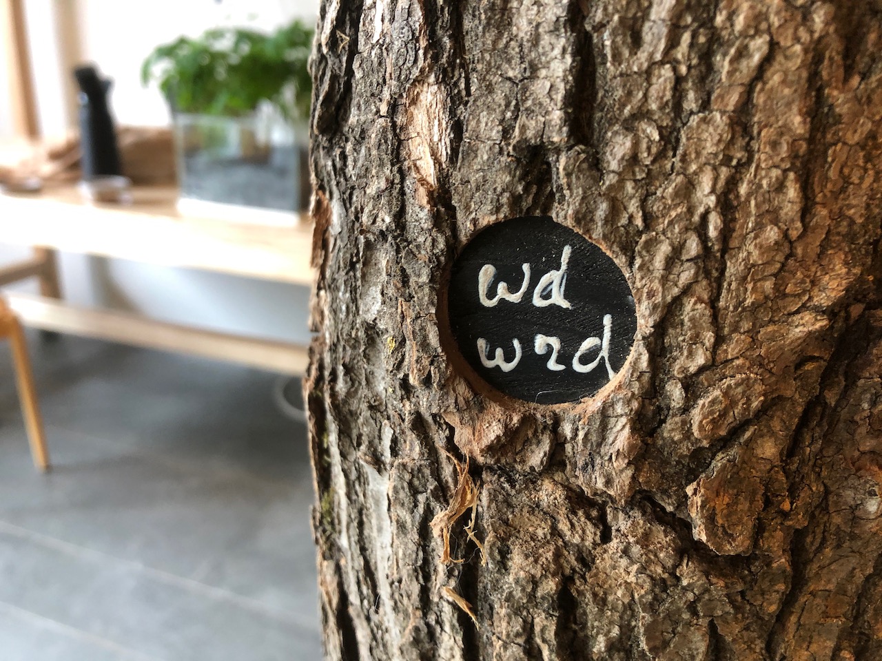 Wilg – Stad en Natuur – Almere