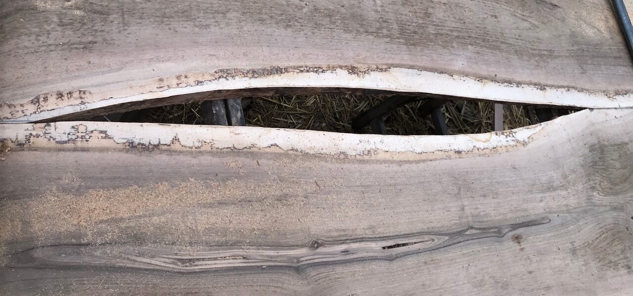 Route47 – Assemblage van 3 Bomen