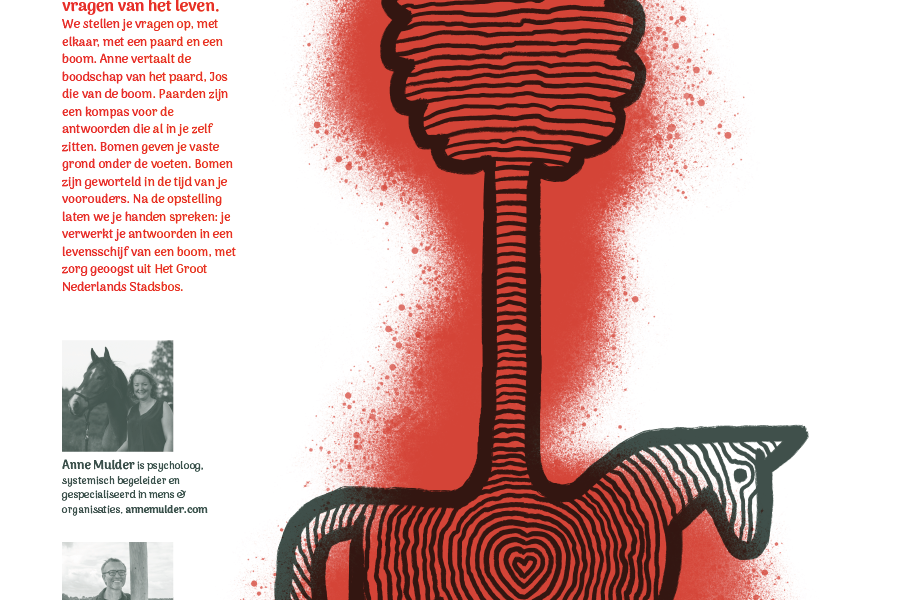 Boom en paard – 8 maart 2024, Loosdrecht