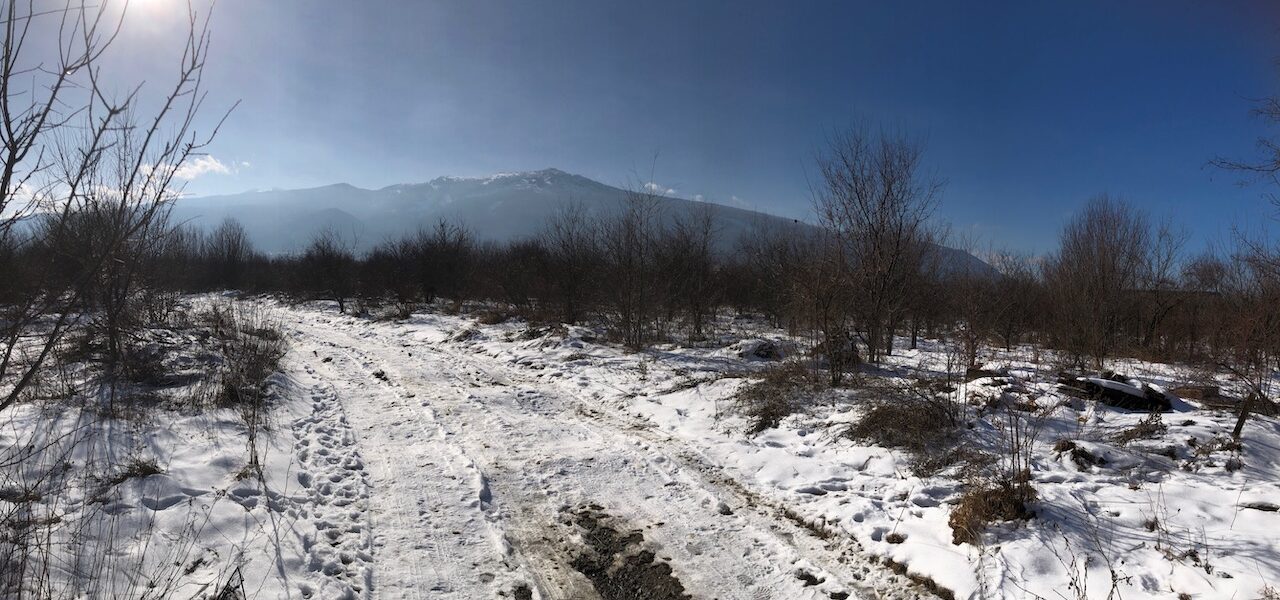 Pop Art House Residency – Scene 2 -January 2024