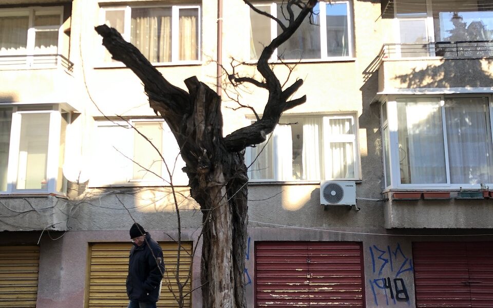 Pop Art House Residency – Scene 15 – January 2024