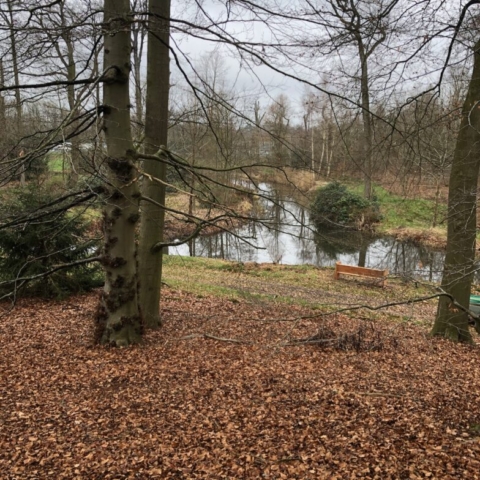 Landgoed_de_boom_douglas_IMG_3508