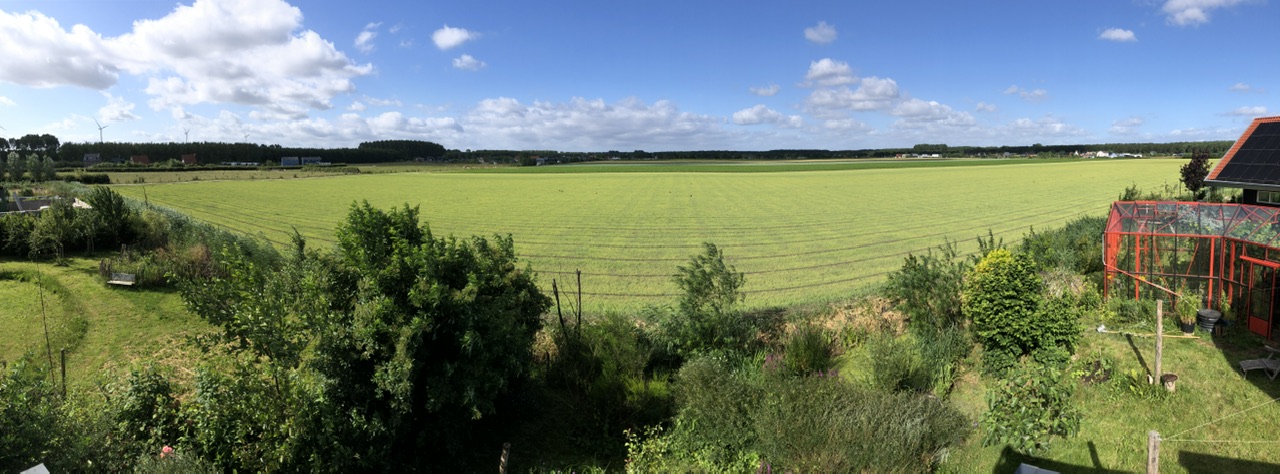 #deakkeralsschilderij – vliervelden