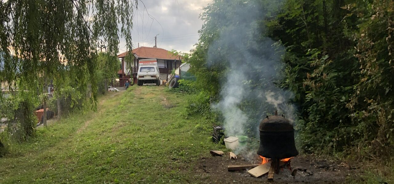 Day 6 –  Some snapshots during my first day at Pop Art House Osenovlag