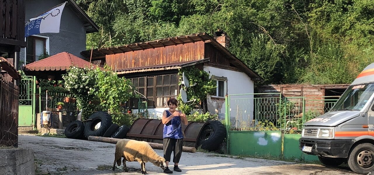 Day 7 – Spasena and her sheep walk by – 18.06 hours