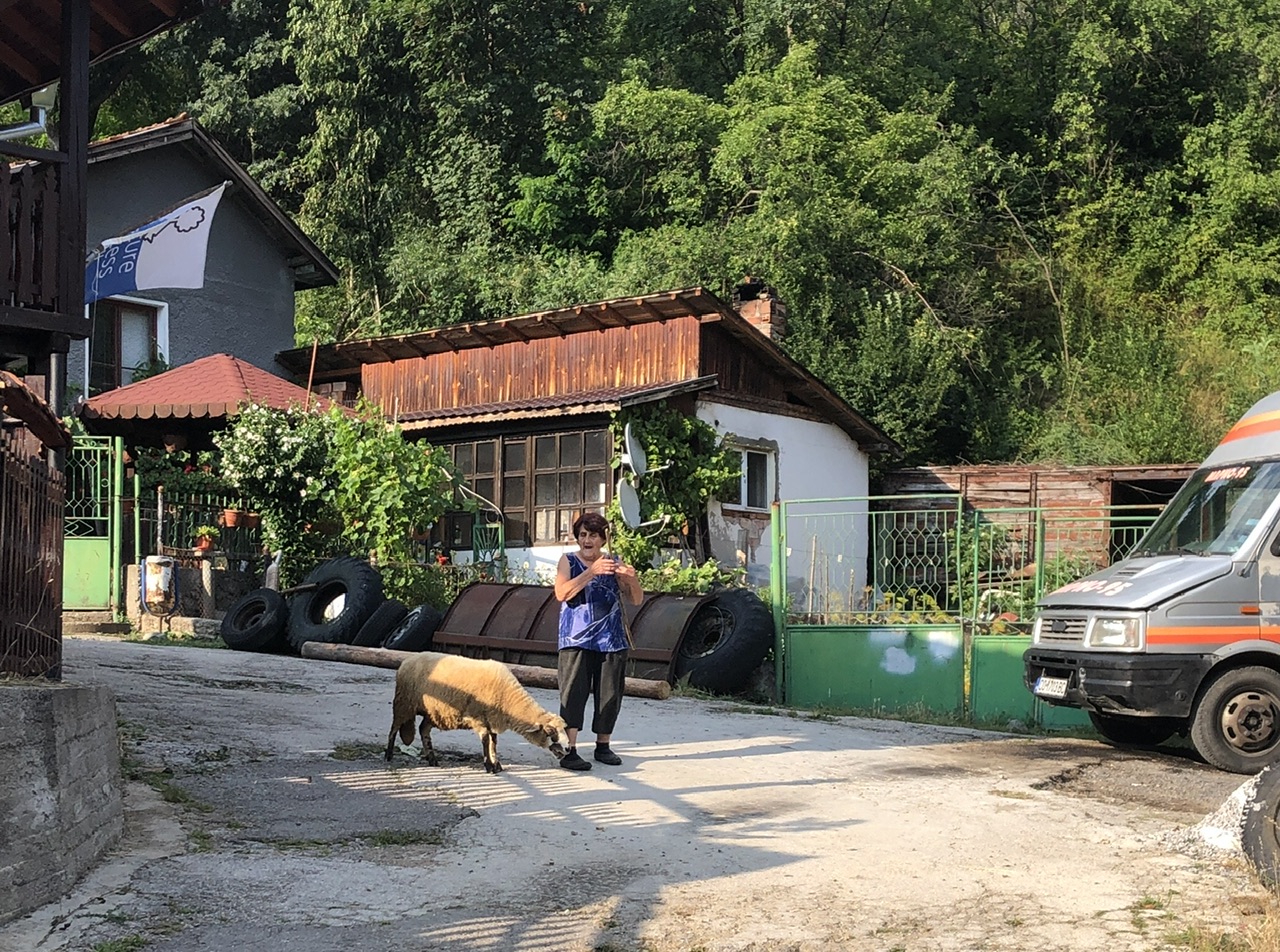 Day 7 – Spasena and her sheep walk by – 18.06 hours