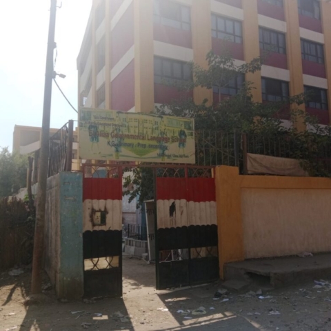 ahmed_farahat_mulberry_tree_eqypt_24422541-3fb2-48dc-911a-a2b9f0ea6516