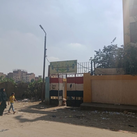 ahmed_farahat_mulberry_tree_eqypt_644d0fd5-b739-43c3-a9d0-f37902425a71