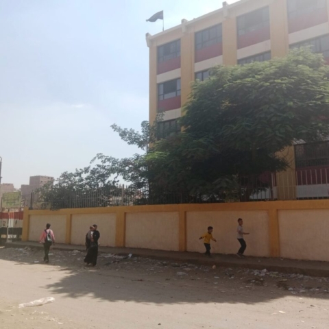 ahmed_farahat_mulberry_tree_eqypt_e48eb0e1-abd4-44e2-bc06-6cebce1d52c7