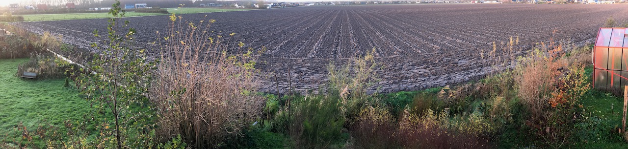 Akker als Schilderij – 26 november 2024