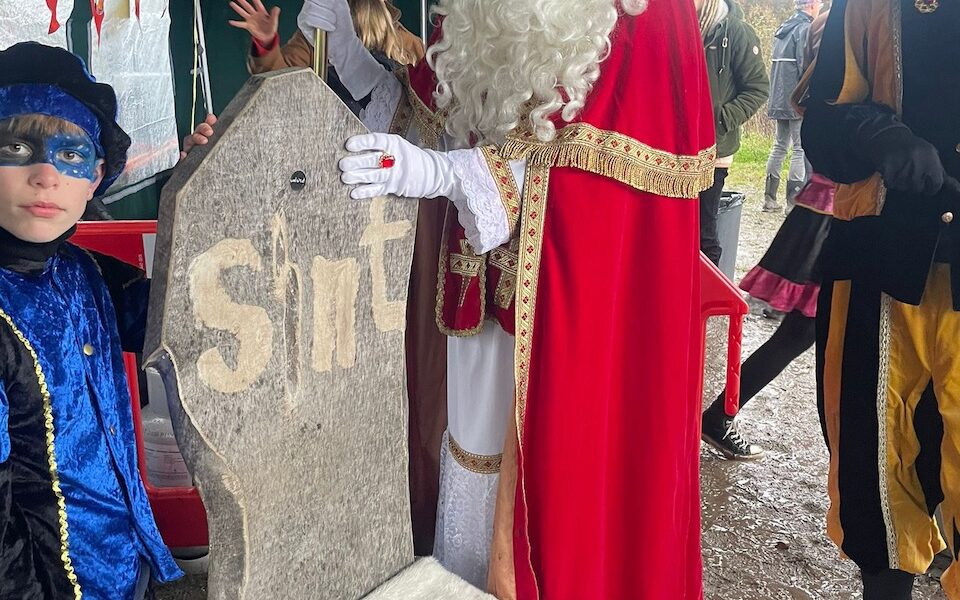 Sintzetel uit Drutense Boldershof Paardenkastanje – gechipt