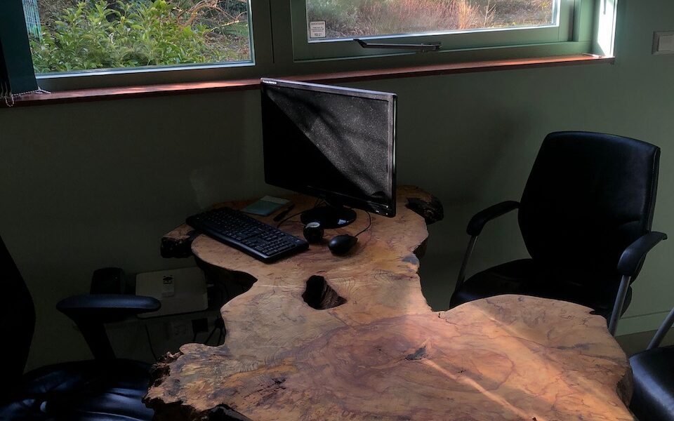 Collage Paardekastanjes voor Groene Huisartspraktijk Anneloes Helder