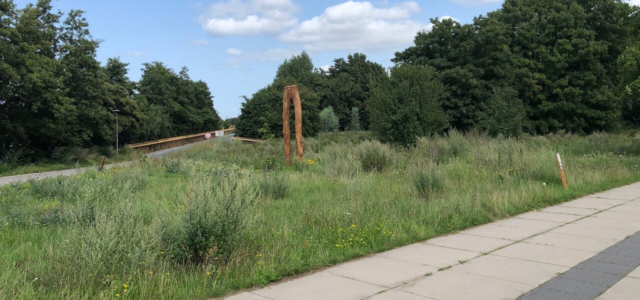 Het wonder van Almere: boom wandelt twee kilometer in drie jaar.