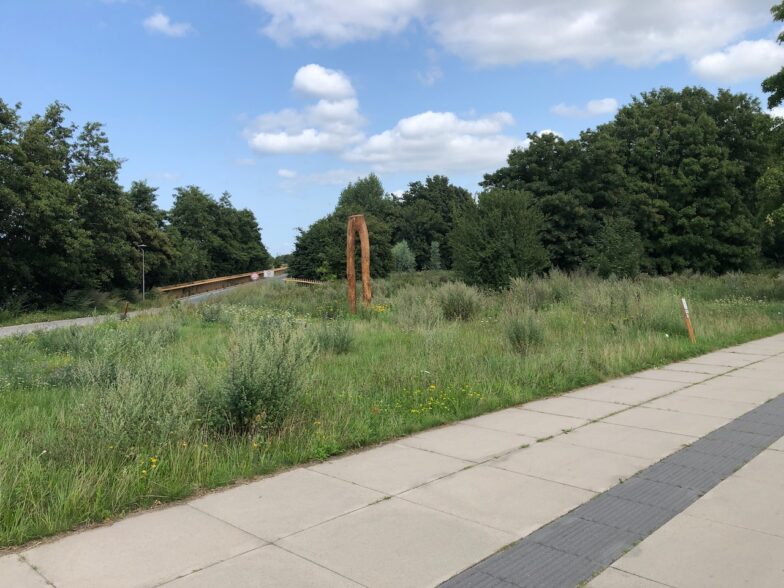 Het wonder van Almere: boom wandelt twee kilometer in drie jaar.