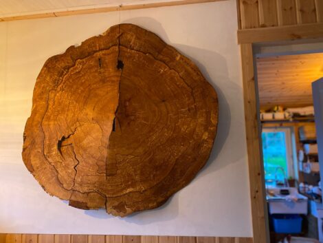 Rode Beuk Park Merwestein Slice XL