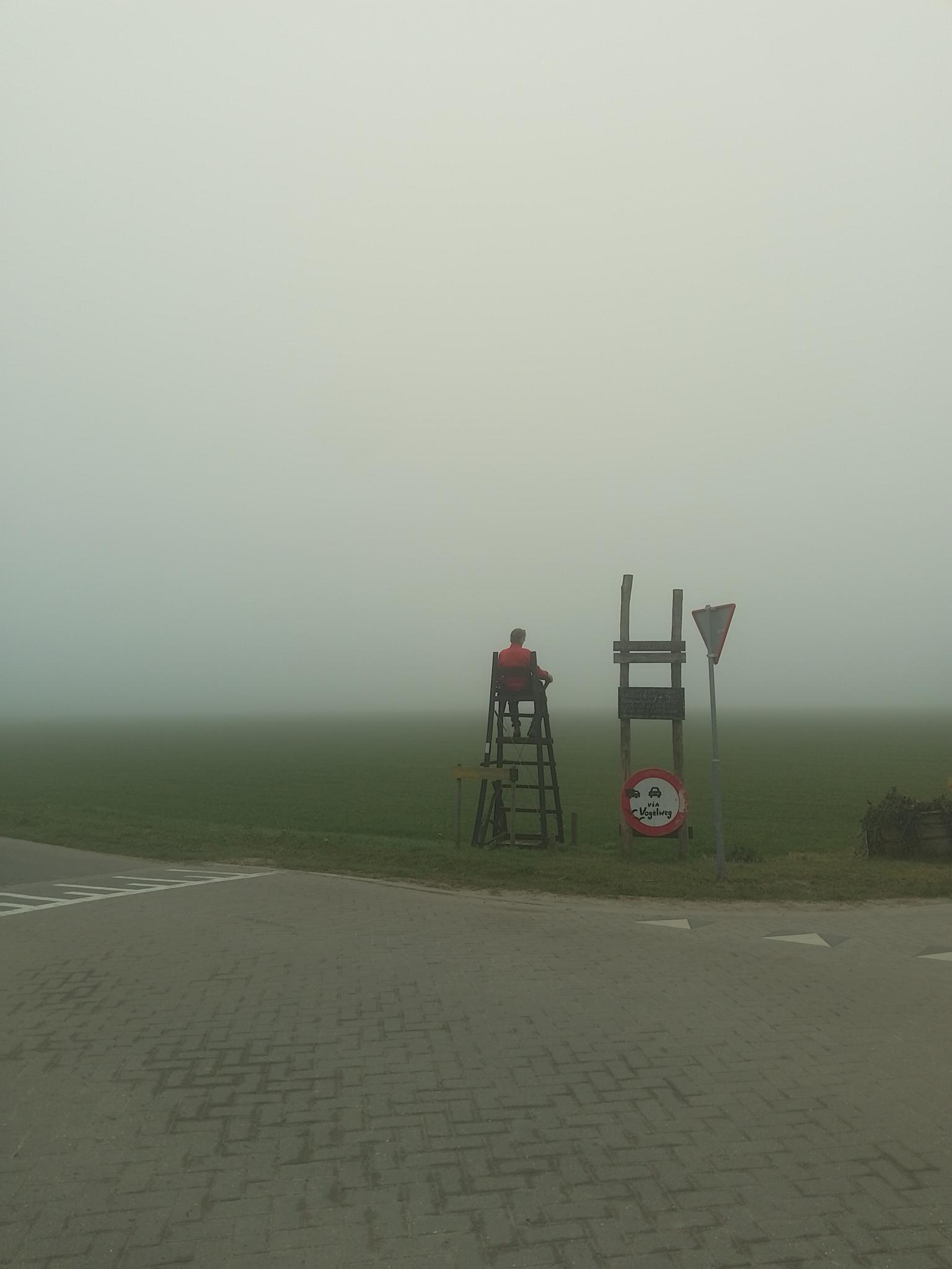 De Akker Als Schilderij – 8 Maart 2026 – Akkerstoel