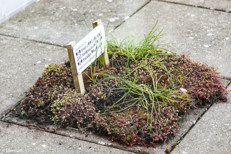 Almeerse Kunstlinietuin toegevoegd aan Groot Nederlands Stadsbos