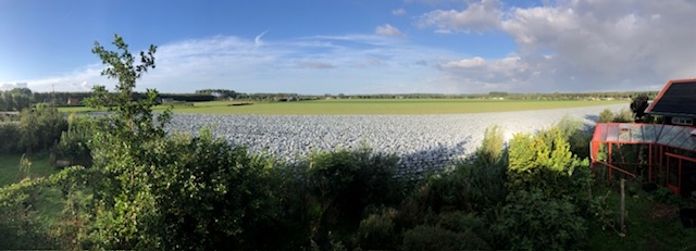 Akkerfoto5_september_2026_0818_uur_4497